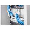 Organizer kablowy poziomy typu RING 10 cali (254mm) 1U 44x254x60mm, (RAL 7035) Szary -1775683