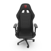 Fotel dla graczy - SR300F V2 BK-1810004
