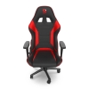 Fotel dla graczy - SR300F V2 RD-1810024