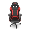Fotel dla graczy - SR300 V2 RD-1810065