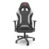 Fotel dla graczy - SR300 V2 WH-1810078