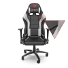 Fotel dla graczy - SR300 V2 WH-1810079