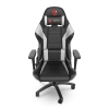 Fotel dla graczy - SR300 V2 WH-1810084