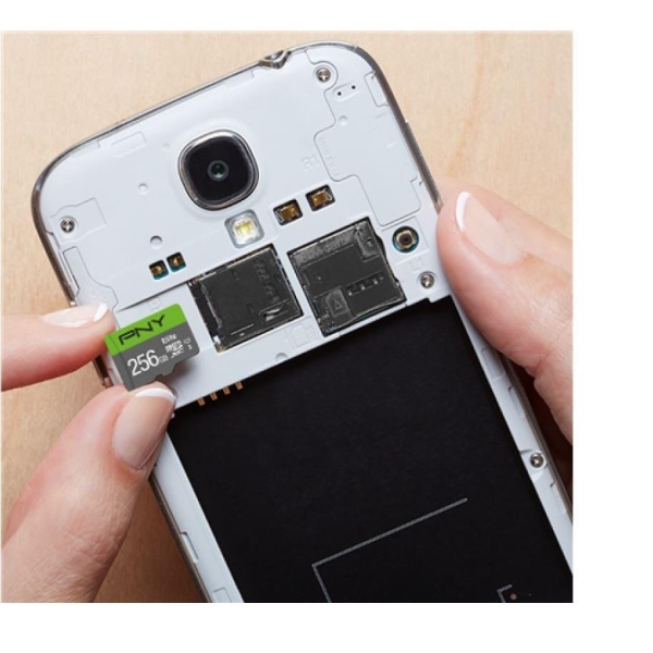 Karta pamięci MicroSDXC Elite 256GB P-SDU256V11100EL-GE-1869395