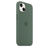 Etui silikonowe z MagSafe do iPhonea 13 - eukaliptusowe-1949575